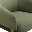 Foxy Olive Green Performance Velvet Accent Chair