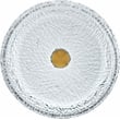 Moonshell 17