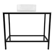 Luminous Black Stainless Steel Metal Vanity Set with Clear Glass White Sink