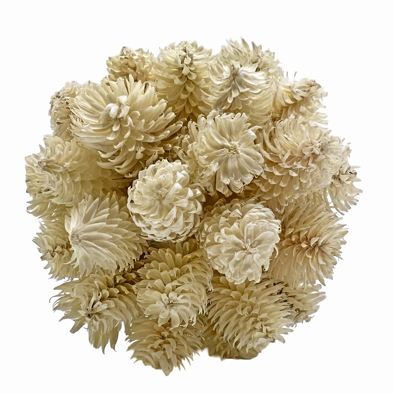 White Green and Brown Preserved Botanical Topiary Balls Decorative Bowl Filler Set of 7
