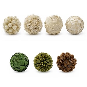 White Green and Brown Preserved Botanical Topiary Balls Decorative Bowl Filler Set of 7
