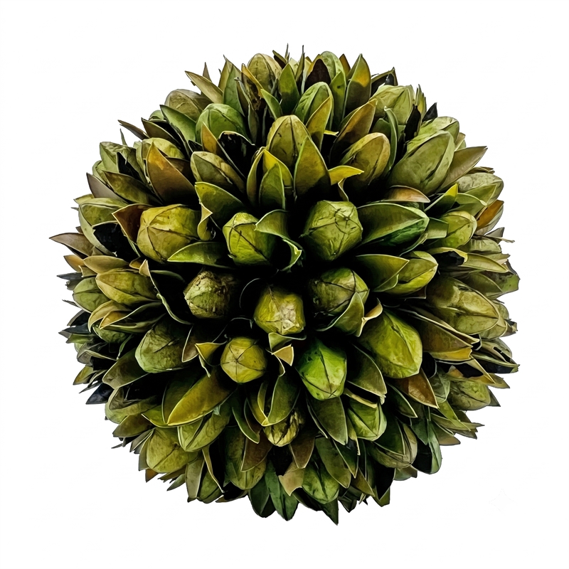 Brown Green Preserved Botanical Topiary Balls Decorative Bowl Filler Set of 6