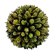 Brown Green Preserved Botanical Topiary Balls Decorative Bowl Filler Set of 6