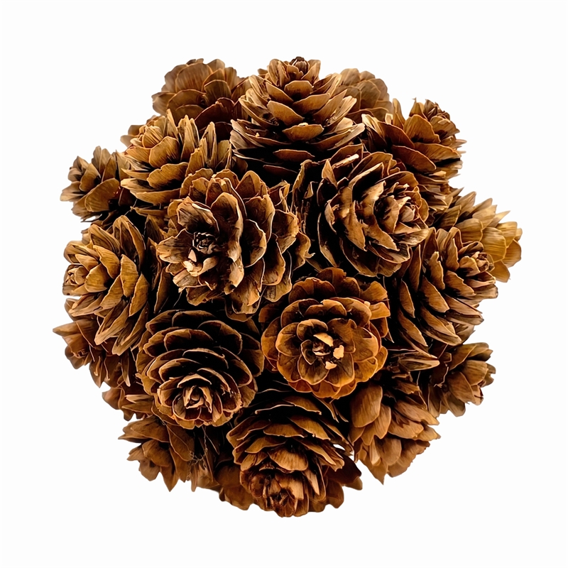 Brown Green Preserved Botanical Topiary Balls Decorative Bowl Filler Set of 6