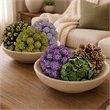 Mixed Colors Preserved Botanical Topiary Balls Decorative Bowl Filler Set of 6