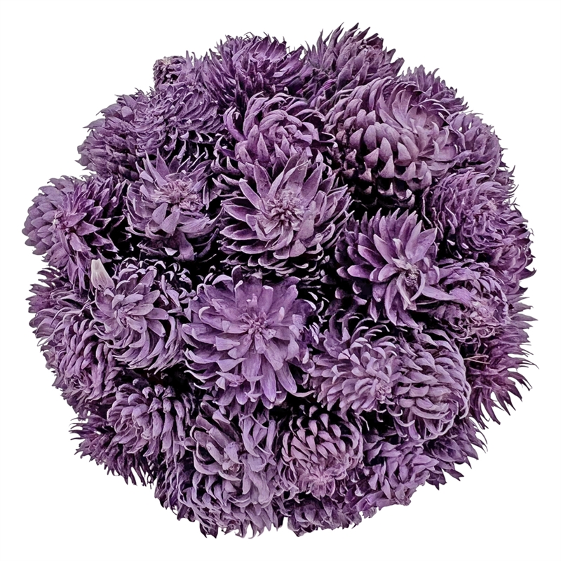 Mixed Colors Preserved Botanical Topiary Balls Decorative Bowl Filler Set of 6