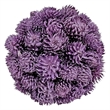 Mixed Colors Preserved Botanical Topiary Balls Decorative Bowl Filler Set of 6