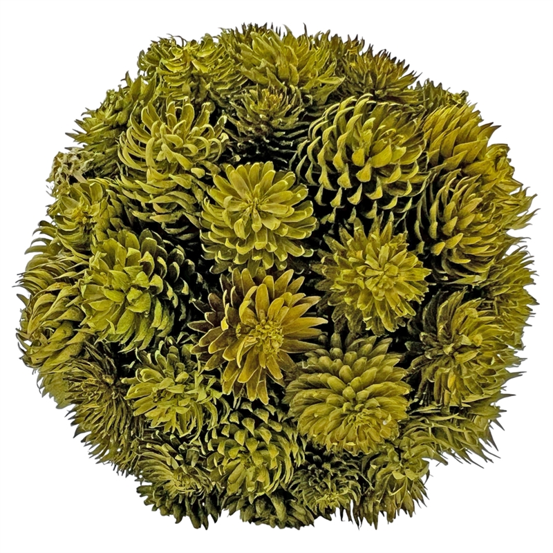 Mixed Colors Preserved Botanical Topiary Balls Decorative Bowl Filler Set of 6