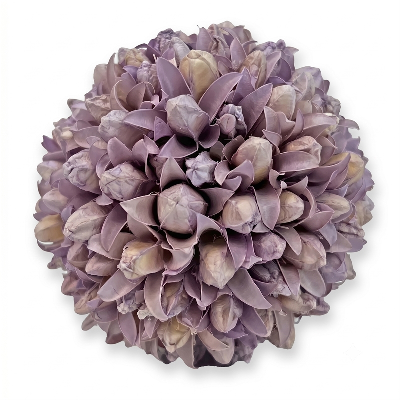 Purple and White Natural Preserved Topiary Balls Decorative Bowl Filler Set of 7