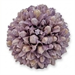Purple and White Natural Preserved Topiary Balls Decorative Bowl Filler Set of 7