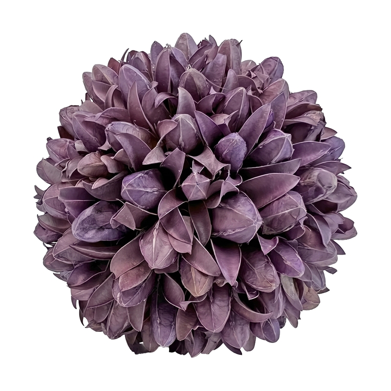 Purple and White Natural Preserved Topiary Balls Decorative Bowl Filler Set of 7