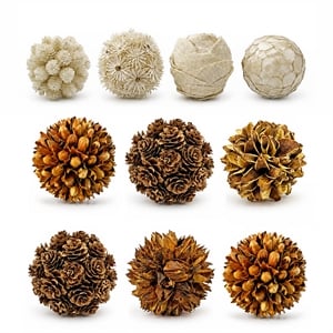 Brown and White Natural Preserved Topiary Balls Decorative Bowl Filler Set of 10