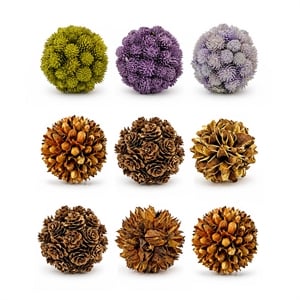 Purple and Brown Natural Preserved Topiary Balls Decorative Bowl Filler Set of 9