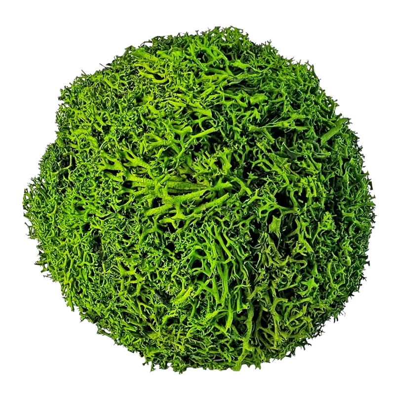 White Brown Green Natural Preserved Topiary Balls Bowl Filler Set of 10