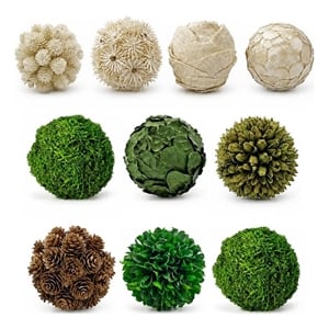 White Brown Green Natural Preserved Topiary Balls Bowl Filler Set of 10