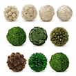White Brown Green Natural Preserved Topiary Balls Bowl Filler Set of 10