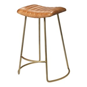 Eden Home Transitional Leather and Iron Counter Stool in Brown/Gold