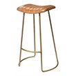 Eden Home Transitional Leather and Iron Bar Stool in Brown and Gold