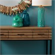 Eden Home Farmhouse Wood and Metal Console Table in Natural/Black