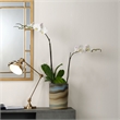 Eden Home 1-Light Traditional Metal Table Lamp with Adjustable Hood in Brass