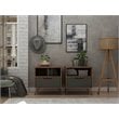 Eden Home 1-Drawer Contemporary Wood Nightstand in Gray (Set of 2)