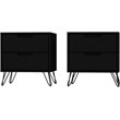 Eden Home 2-Drawer Contemporary Wood Nightstand in Black (Set of 2)
