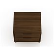 Eden Home 2-Drawer Contemporary Wood Nightstand in Brown (Set of 2)