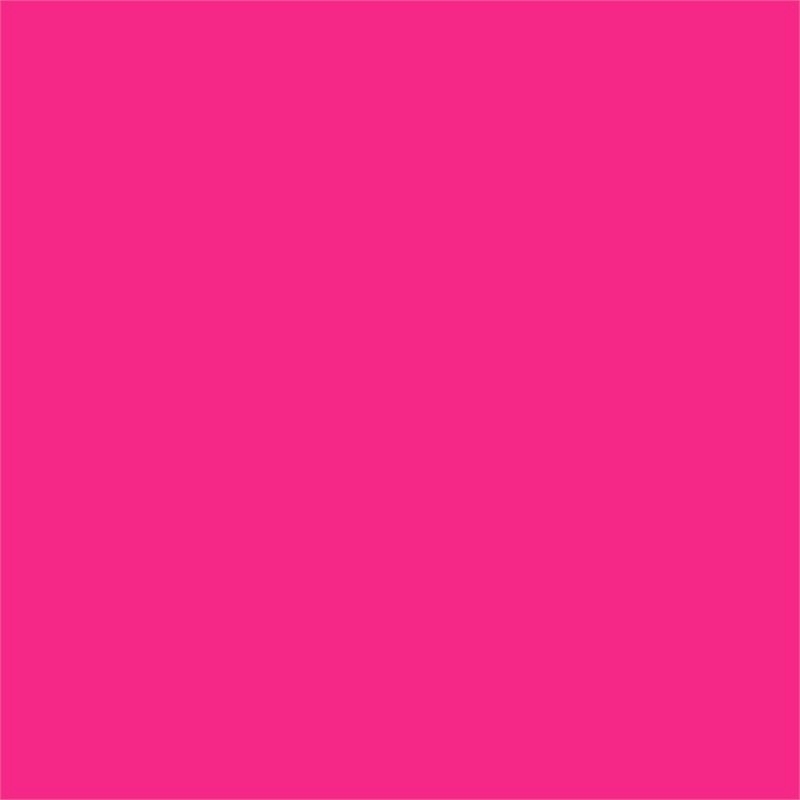 Eden Home Contemporary Fabric Accent Lounge Chair in Fuchsia Pink (Set of 2)