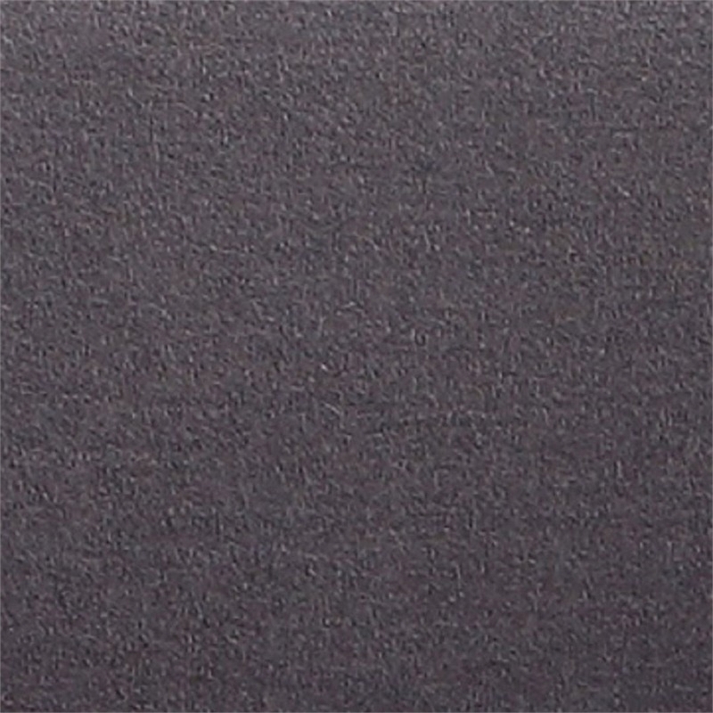 Eden Home Modern Fabric & Metal Accent Chair in Gray/Chrome (Set of 2)