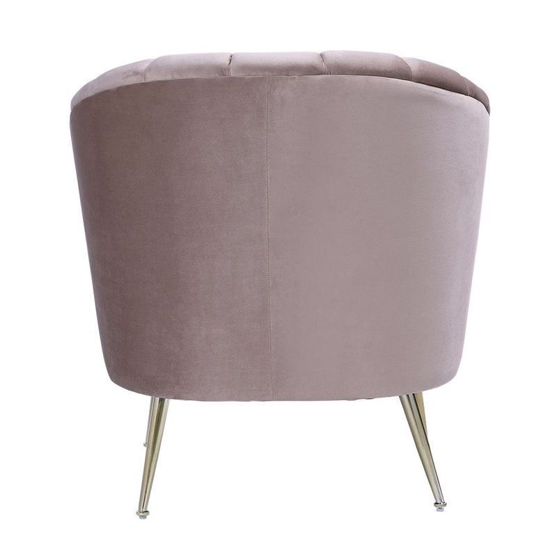 Eden Home Contemporary Velvet & Metal Accent Chair in Pink/Gold (Set of 2)