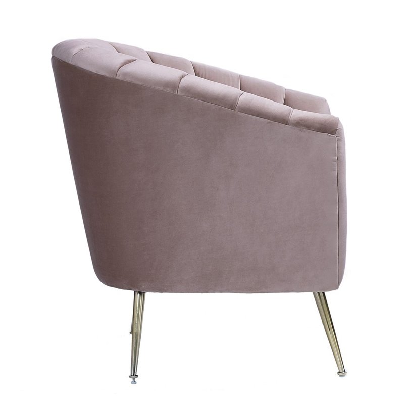 Eden Home Contemporary Velvet & Metal Accent Chair in Pink/Gold