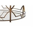 Eden Home Modern Round Metal-Glass Coffee Table in Brushed Brass Finish