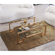 Eden Home Modern Metal and Glass Coffee Table in High Polish Gold Finish