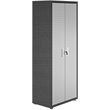 Eden Home Contemporary 2-Door Metal Garage Cabinet in Gray Finish