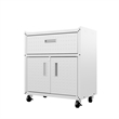 Eden Home Contemporary Wood/Metal Mobile Garage Cabinet in White
