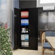 GangMei Metal Garage Storage Cabinet with Doors and Lock Steel Locking in Black