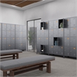 Gangmei 12 Door lockers for Employees Steel lockers Dark Grey