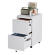 2 Drawer Vertical File Cabinet with Lock need assemble