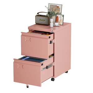 2 Drawer Vertical File Cabinet with Lock need assemble
