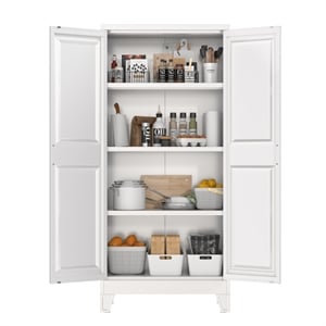 Metal Kitchen Pantry Cabinet with 2 Doors and 3 Adjustable Shelves