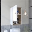FM FURNITURE Senegal Modern Wood Bathroom Medicine Cabinet in Light Oak/White