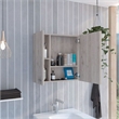 FM FURNITURE Kenya Engineered Wood Medicine Cabinet in Light Gray