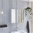 FM FURNITURE Kenya Engineered Wood Medicine Mirrored Cabinet in White