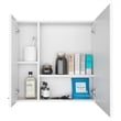 FM FURNITURE Kenya Engineered Wood Medicine Mirrored Cabinet in White