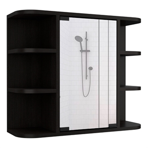 FM FURNITURE Valdez 24&quotH Engineered Wood Medicine Cabinet with Mirror in Black