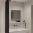 FM FURNITURE Ozark Engineered Wood Medicine Cabinet with Mirror in White