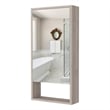 FM FURNITURE Modesto Engineered Wood Medicine Cabinet with Mirror in Light Gray