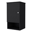 FM FURNITURE Carrizo Medicine Cabinet Engineered Wood with One Door Black