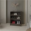FM FURNITURE Oatman Shoe Rack with Open Storage Wengue