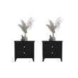 Arial Set of 2 Modern Wenge Nightstands with 2 Drawers for Bedroom Storage